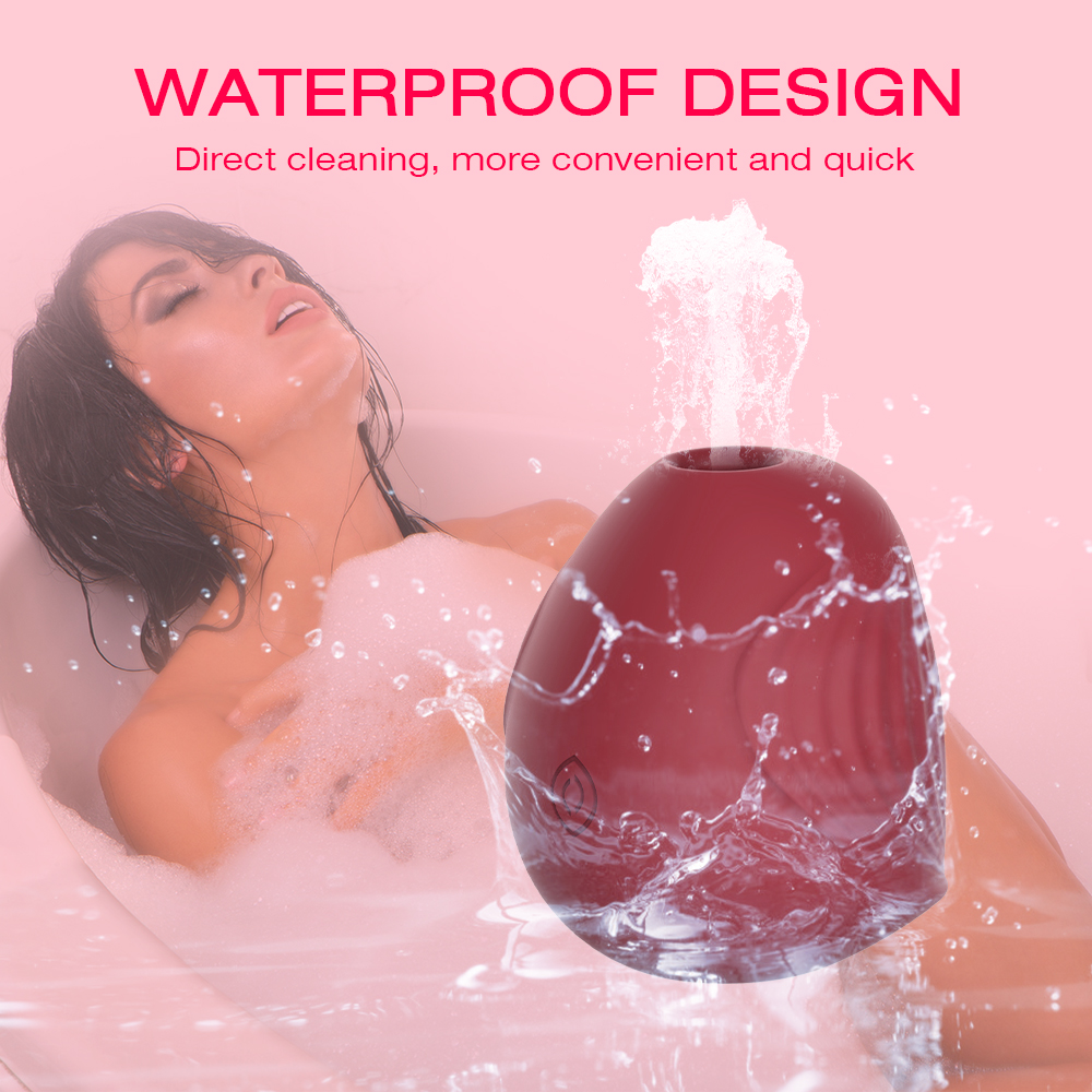 Premium Sucking Vibrator