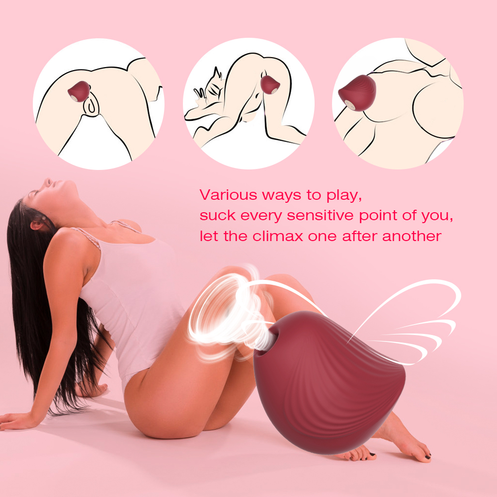 Premium Sucking Vibrator