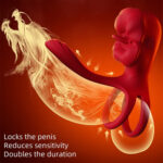 Mouth Type Performance Ring with Extra Vibration Stick | App-Controlled & Waterproof